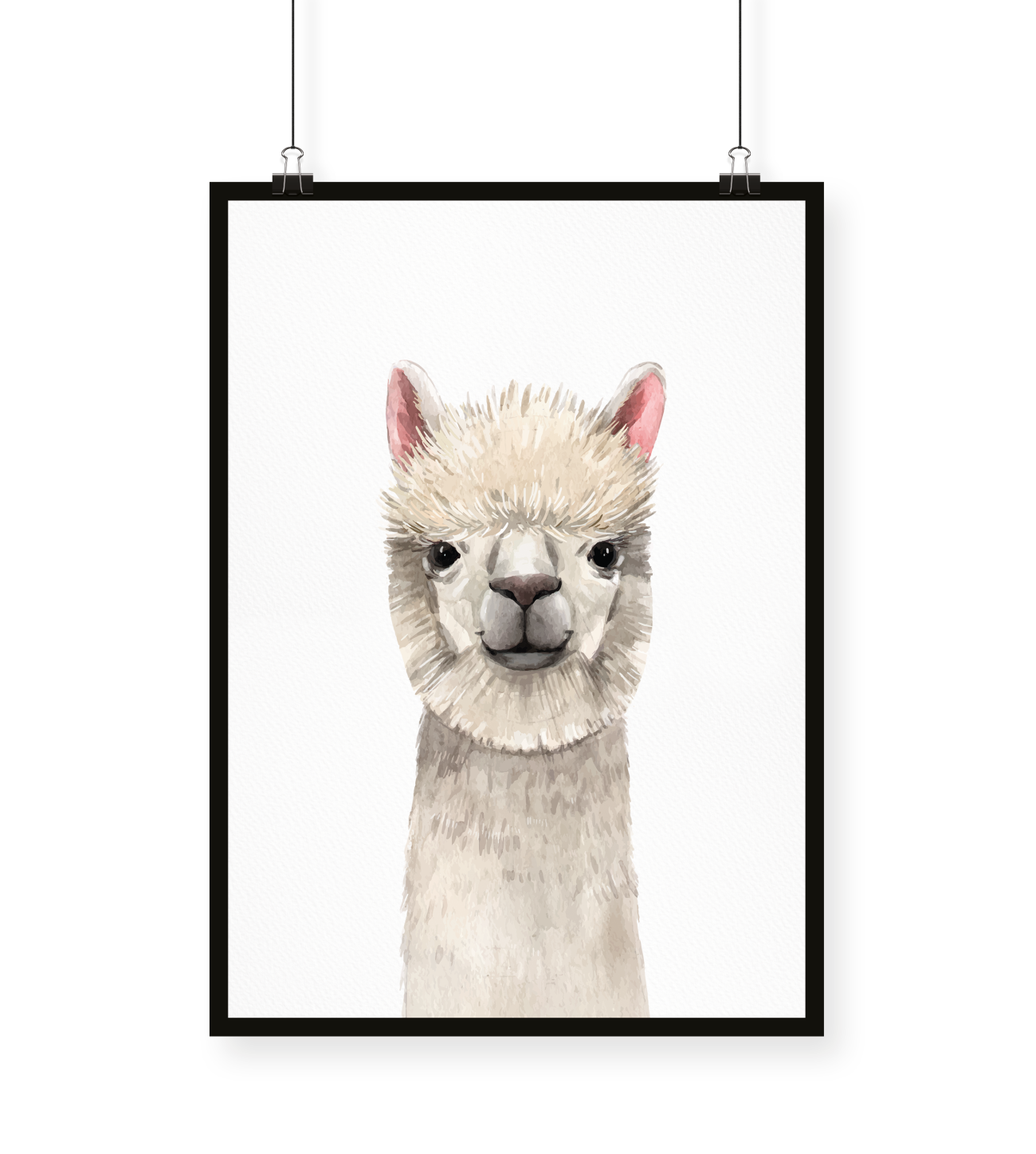 alpaka-alpaca-chino