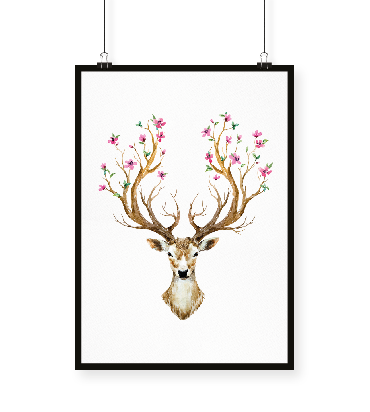 hirsch-reh-geweih
